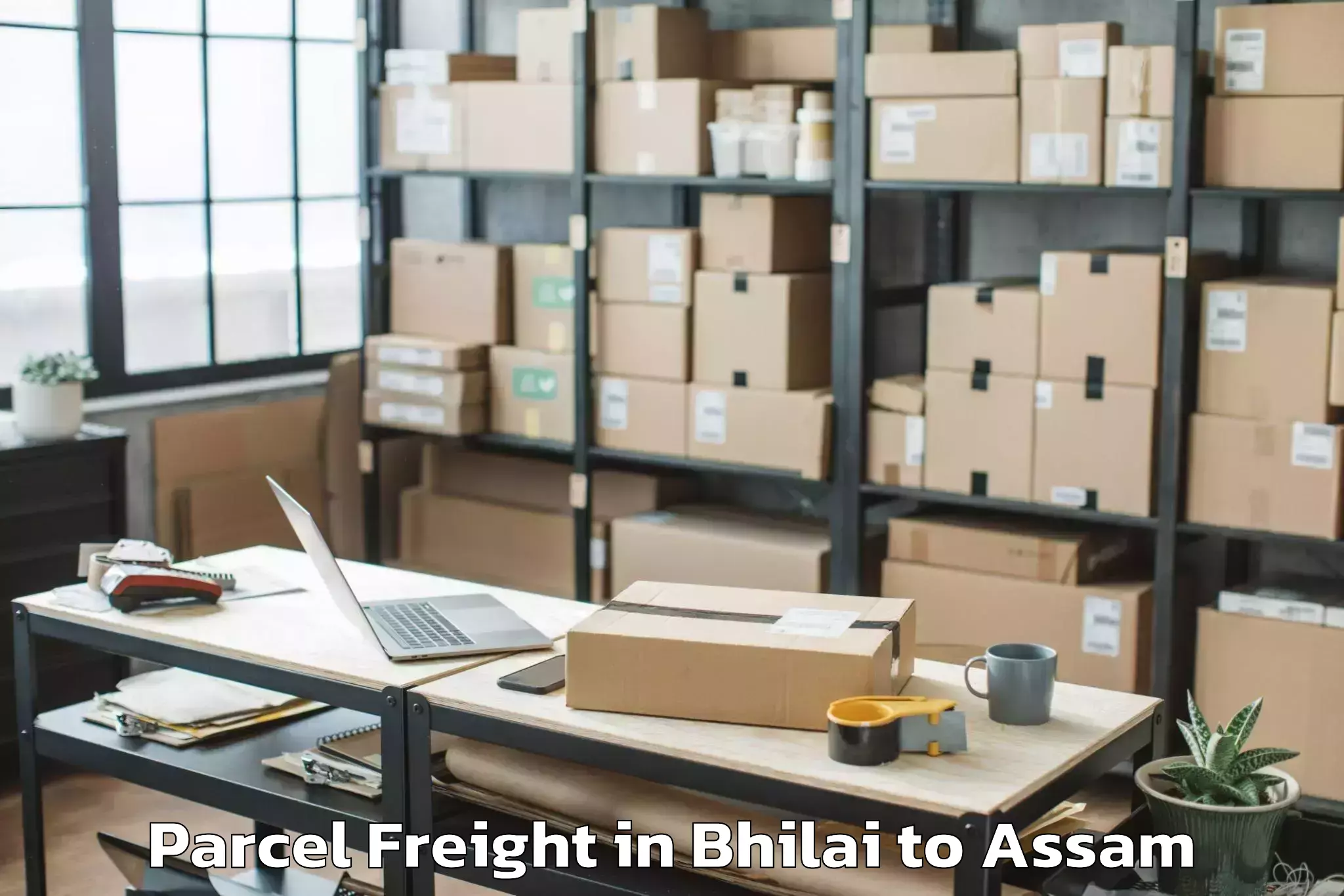 Book Your Bhilai to Rangia Parcel Freight Today